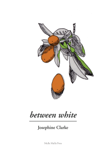 Between white, 